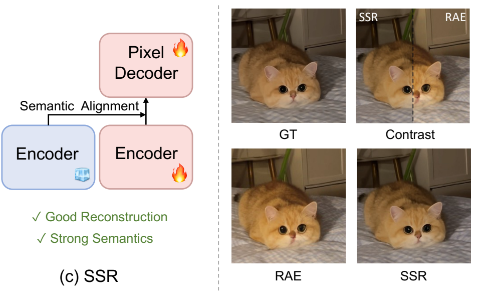 SSR semantic alignment and reconstruction comparison